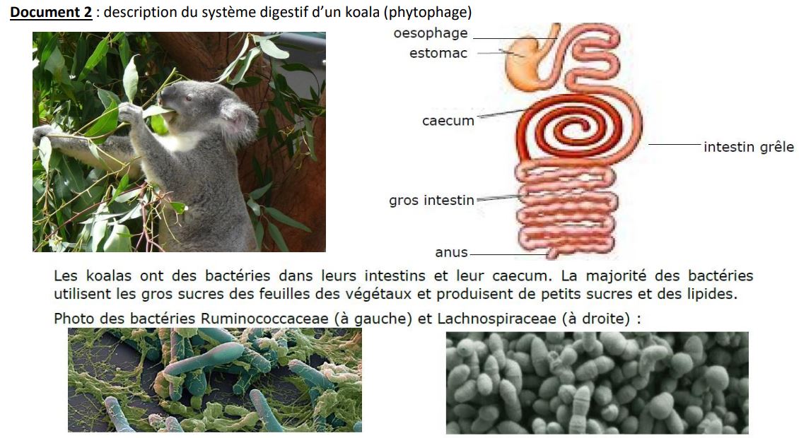 Nutrition animale - 5ème